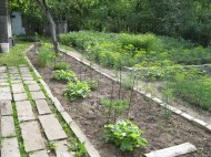 Жилой фонд дома Продажа
