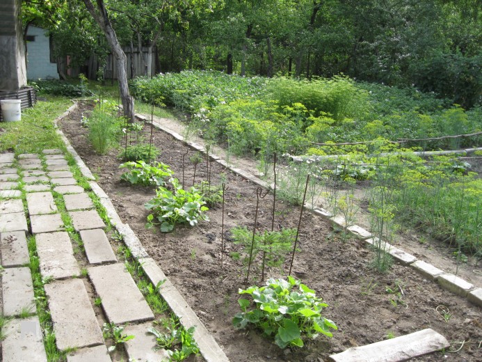 Жилой фонд дома Продажа