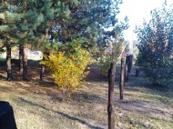 Жилой фонд участки Продажа