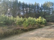 Жилой фонд Продажа