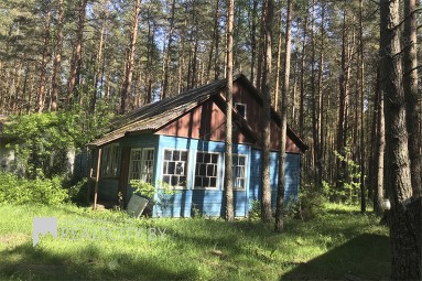 Дом в Минской области Продажа