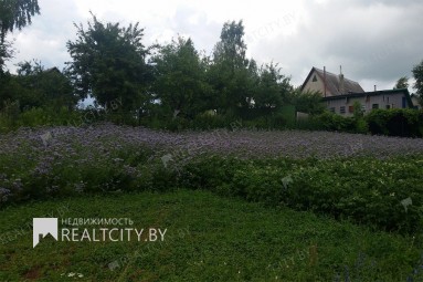 Купить дом в Могилевской области