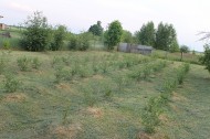Жилой фонд Продажа