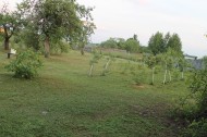 Жилой фонд Продажа