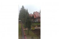 Жилой фонд Аренда