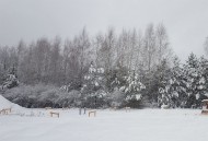 Жилой фонд участки Продажа