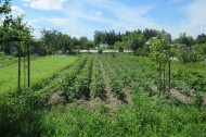 Жилой фонд участки Продажа