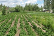 Жилой фонд участки Продажа