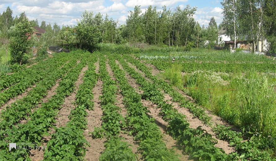 Жилой фонд участки Продажа