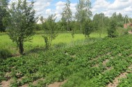 Жилой фонд участки Продажа