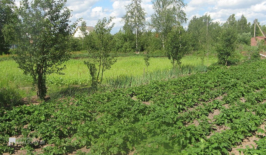 Жилой фонд участки Продажа