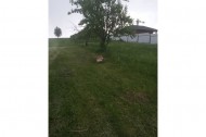 Жилой фонд участки Продажа