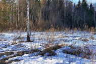 Жилой фонд участки Продажа