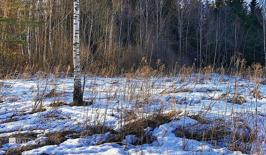 Жилой фонд участки Продажа