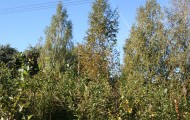Жилой фонд Продажа