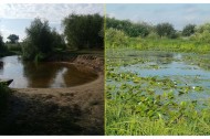 Жилой фонд коттеджи Продажа