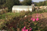 Жилой фонд дома Продажа