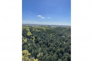 Жилой фонд 1-комнатные Продажа