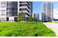 Нежилой фонд офис Продажа