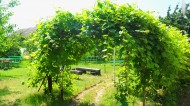 Жилой фонд коттеджи Аренда