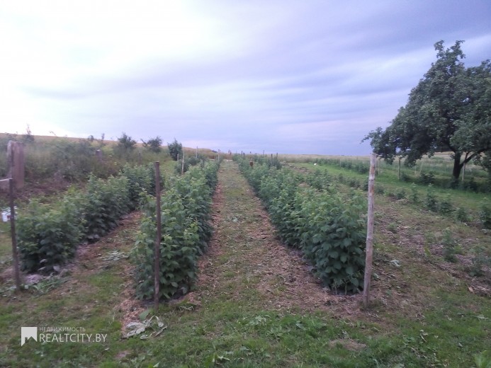 Жилой фонд дома Продажа