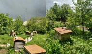 Жилой фонд дома Продажа