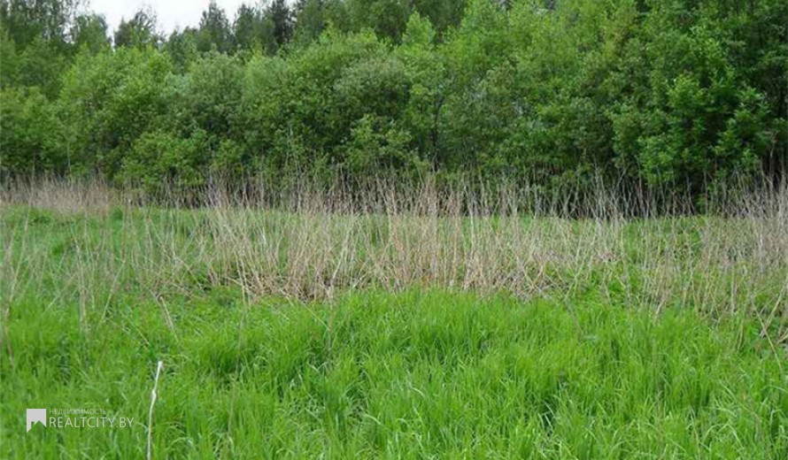 Жилой фонд участки Продажа