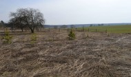 Жилой фонд участки Продажа
