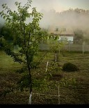 Жилой фонд участки Продажа