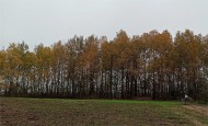 Жилой фонд участки Продажа
