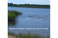 Жилой фонд дома Продажа